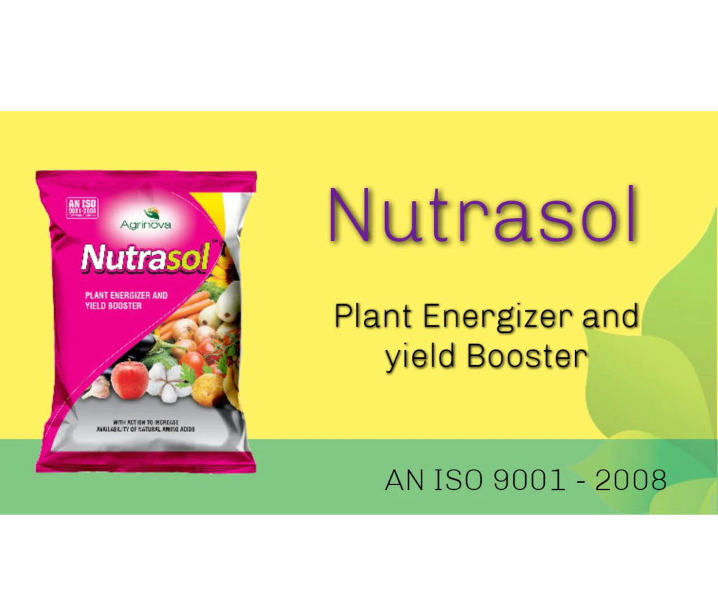 We Provide Plants Energizer and Yield Booster In West Bengal